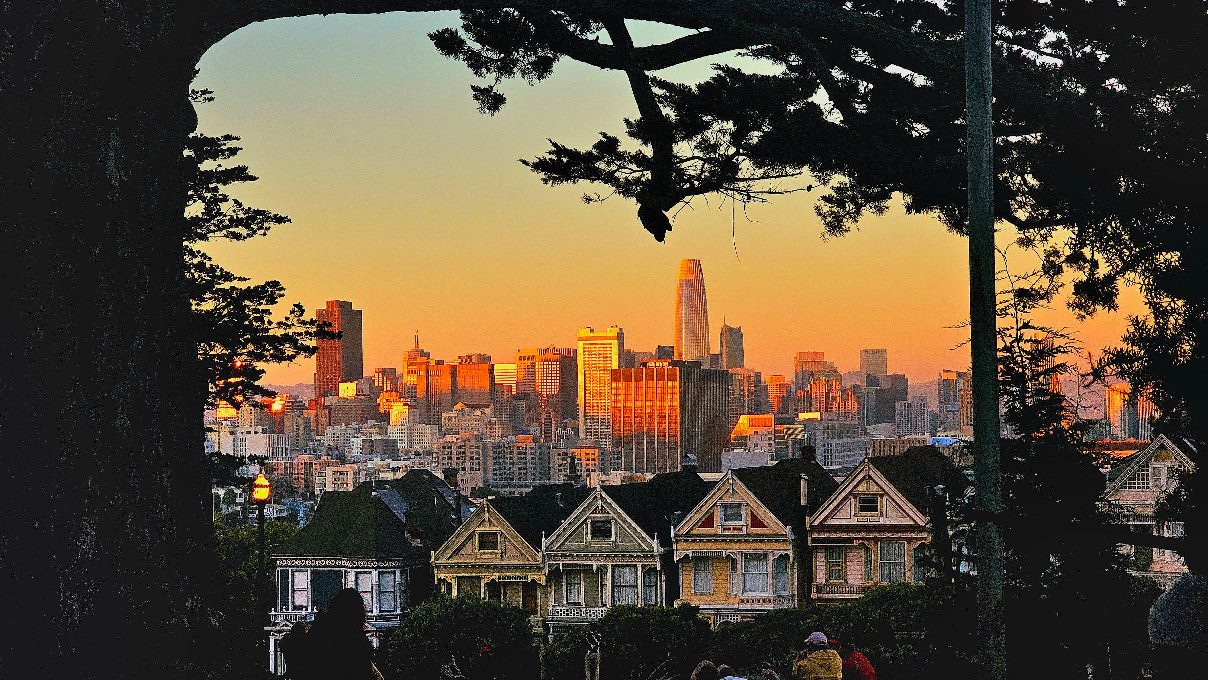 A photo capture of evening light on San Francisco skyline from under a tree.